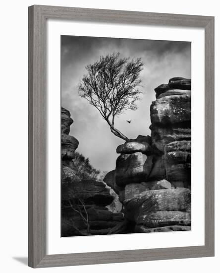 Rock Life-Martin Henson-Framed Photographic Print