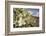 Rock Nettle in Bloom, Death Valley National Park, California-Rob Sheppard-Framed Photographic Print