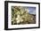 Rock Nettle in Bloom, Death Valley National Park, California-Rob Sheppard-Framed Photographic Print