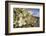 Rock Nettle in Bloom, Death Valley National Park, California-Rob Sheppard-Framed Photographic Print