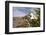 Rock Nettle in Bloom, Death Valley National Park, California-Rob Sheppard-Framed Premium Photographic Print