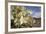 Rock Nettle in Bloom, Death Valley National Park, California-Rob Sheppard-Framed Photographic Print