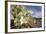 Rock Nettle in Bloom, Death Valley National Park, California-Rob Sheppard-Framed Photographic Print