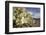 Rock Nettle in Bloom, Death Valley National Park, California-Rob Sheppard-Framed Photographic Print