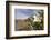 Rock Nettle in Bloom, Death Valley National Park, California-Rob Sheppard-Framed Photographic Print