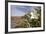 Rock Nettle in Bloom, Death Valley National Park, California-Rob Sheppard-Framed Photographic Print