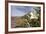 Rock Nettle in Bloom, Death Valley National Park, California-Rob Sheppard-Framed Photographic Print