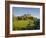 Rock of Cashel, 4Th-12th Century Monastic Stronghold, Cashel, County Tipperary, Ireland-null-Framed Photographic Print