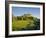 Rock of Cashel, 4Th-12th Century Monastic Stronghold, Cashel, County Tipperary, Ireland-null-Framed Photographic Print