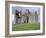 Rock of Cashel, Cashel, County Tipperary, Munster, Eire (Ireland)-Bruno Barbier-Framed Photographic Print