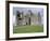 Rock of Cashel, Cashel, County Tipperary, Munster, Eire (Ireland)-Bruno Barbier-Framed Photographic Print