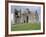 Rock of Cashel, Cashel, County Tipperary, Munster, Eire (Ireland)-Bruno Barbier-Framed Photographic Print