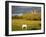 Rock of Cashel, Cashel Town, County Tipperary, Munster, Republic of Ireland, Europe-Richard Cummins-Framed Photographic Print