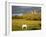 Rock of Cashel, Cashel Town, County Tipperary, Munster, Republic of Ireland, Europe-Richard Cummins-Framed Photographic Print