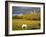 Rock of Cashel, Cashel Town, County Tipperary, Munster, Republic of Ireland, Europe-Richard Cummins-Framed Photographic Print