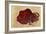 Rock Painting of a Bison, Late Magdalenian, 13000 BC-null-Framed Giclee Print