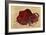 Rock Painting of a Bison, Late Magdalenian, 13000 BC-null-Framed Giclee Print