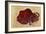 Rock Painting of a Bison, Late Magdalenian, 13000 BC-null-Framed Giclee Print