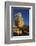 Rock Palace (Dar Al Hajar), Wadi Dhar, Yemen, Middle East-Bruno Morandi-Framed Photographic Print