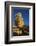 Rock Palace (Dar Al Hajar), Wadi Dhar, Yemen, Middle East-Bruno Morandi-Framed Photographic Print