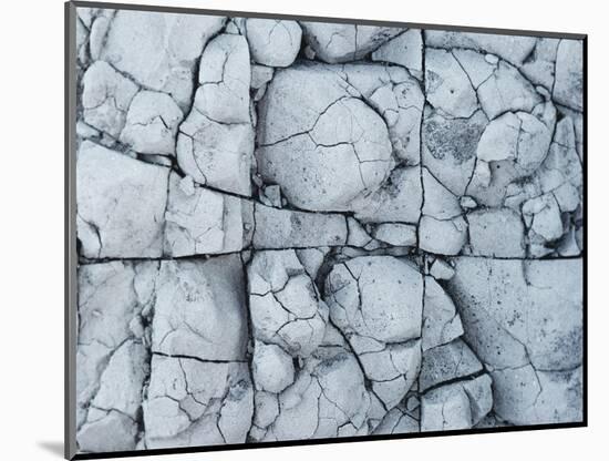 Rock pattern in Castolon Canyon, Big Bend National Park.-Mallorie Ostrowitz-Mounted Photographic Print