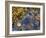 Rock Pool at Catterline, Aberdeenshire, Scotland, United Kingdom, Europe-Mark Sunderland-Framed Photographic Print