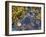 Rock Pool at Catterline, Aberdeenshire, Scotland, United Kingdom, Europe-Mark Sunderland-Framed Photographic Print