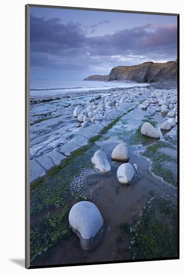 Rock Pools on Kilve Beach, Somerset, England. Summer-Adam Burton-Mounted Photographic Print
