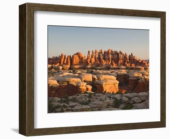 Rock Spires and Grabens at Chesler Park, The Needles, Canyonlands National Park, Utah, USA-Jamie & Judy Wild-Framed Photographic Print