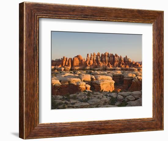 Rock Spires and Grabens at Chesler Park, The Needles, Canyonlands National Park, Utah, USA-Jamie & Judy Wild-Framed Photographic Print