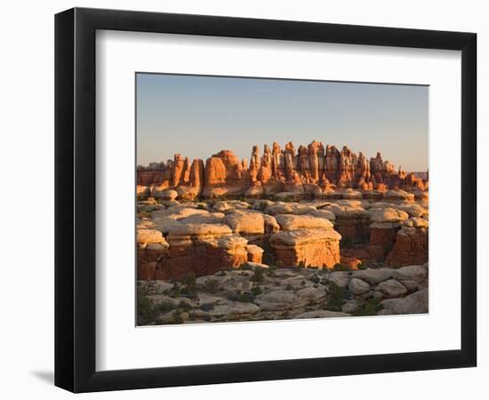 Rock Spires and Grabens at Chesler Park, The Needles, Canyonlands National Park, Utah, USA-Jamie & Judy Wild-Framed Photographic Print