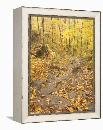 Rock Stairs on the Sugarloaf Trail, White Mountain National Forest, New Hampshire, USA-Jerry & Marcy Monkman-Framed Premier Image Canvas