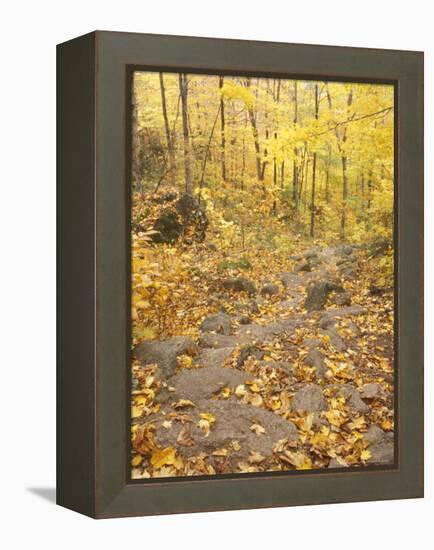 Rock Stairs on the Sugarloaf Trail, White Mountain National Forest, New Hampshire, USA-Jerry & Marcy Monkman-Framed Premier Image Canvas