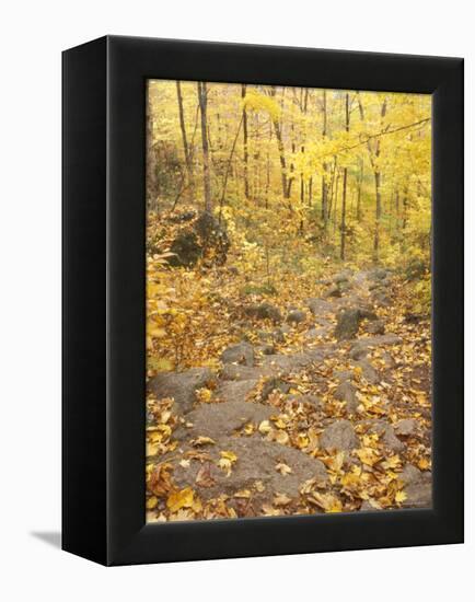 Rock Stairs on the Sugarloaf Trail, White Mountain National Forest, New Hampshire, USA-Jerry & Marcy Monkman-Framed Premier Image Canvas