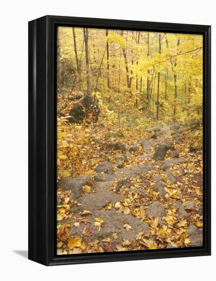 Rock Stairs on the Sugarloaf Trail, White Mountain National Forest, New Hampshire, USA-Jerry & Marcy Monkman-Framed Premier Image Canvas