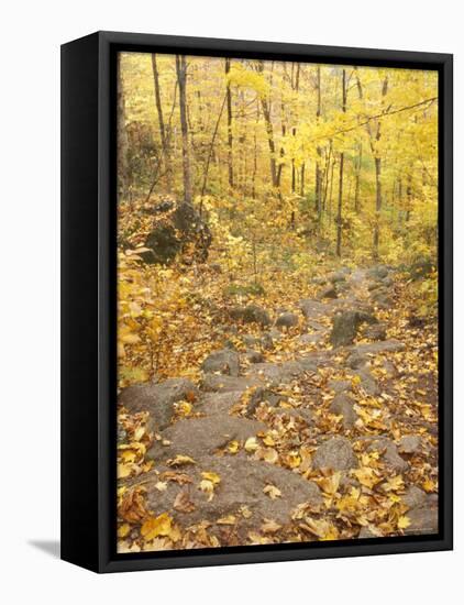 Rock Stairs on the Sugarloaf Trail, White Mountain National Forest, New Hampshire, USA-Jerry & Marcy Monkman-Framed Premier Image Canvas