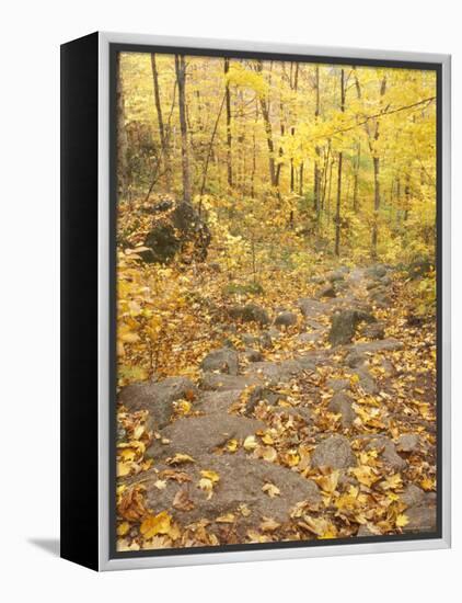 Rock Stairs on the Sugarloaf Trail, White Mountain National Forest, New Hampshire, USA-Jerry & Marcy Monkman-Framed Premier Image Canvas