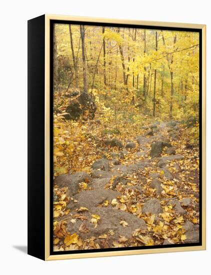 Rock Stairs on the Sugarloaf Trail, White Mountain National Forest, New Hampshire, USA-Jerry & Marcy Monkman-Framed Premier Image Canvas