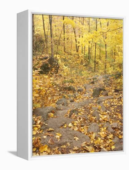 Rock Stairs on the Sugarloaf Trail, White Mountain National Forest, New Hampshire, USA-Jerry & Marcy Monkman-Framed Premier Image Canvas