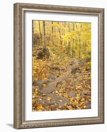 Rock Stairs on the Sugarloaf Trail, White Mountain National Forest, New Hampshire, USA-Jerry & Marcy Monkman-Framed Photographic Print