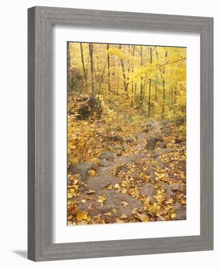 Rock Stairs on the Sugarloaf Trail, White Mountain National Forest, New Hampshire, USA-Jerry & Marcy Monkman-Framed Photographic Print