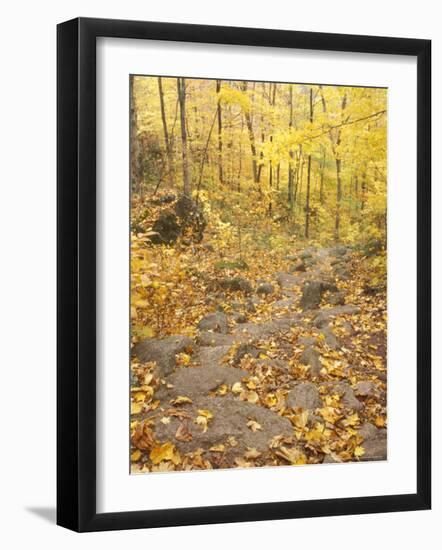 Rock Stairs on the Sugarloaf Trail, White Mountain National Forest, New Hampshire, USA-Jerry & Marcy Monkman-Framed Photographic Print