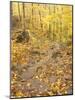 Rock Stairs on the Sugarloaf Trail, White Mountain National Forest, New Hampshire, USA-Jerry & Marcy Monkman-Mounted Photographic Print