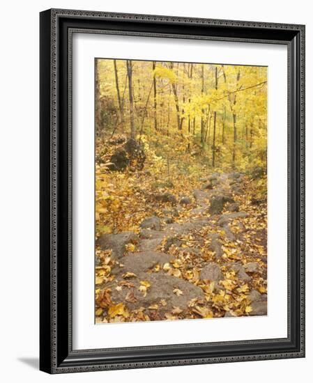 Rock Stairs on the Sugarloaf Trail, White Mountain National Forest, New Hampshire, USA-Jerry & Marcy Monkman-Framed Photographic Print