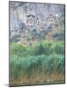 Rock Tombs of Caunos, Dalyan, Turkey-Ali Kabas-Mounted Photographic Print