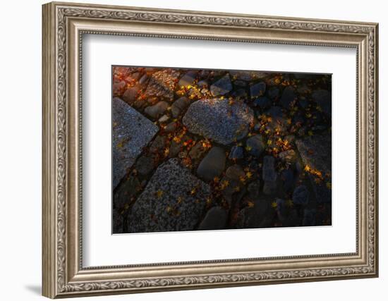 Rock walkway of fallen maple tree leaves.-Sheila Haddad-Framed Photographic Print