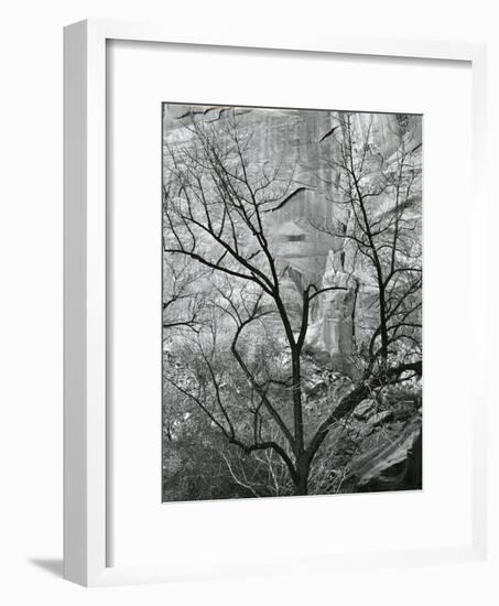 Rock Wall and Trees, Glen Canyon, c. 1960-Brett Weston-Framed Photographic Print