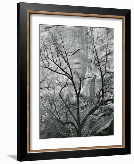 Rock Wall and Trees, Glen Canyon, c. 1960-Brett Weston-Framed Photographic Print