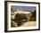 Rock wall in the Sahara, Egypt-English Photographer-Framed Giclee Print