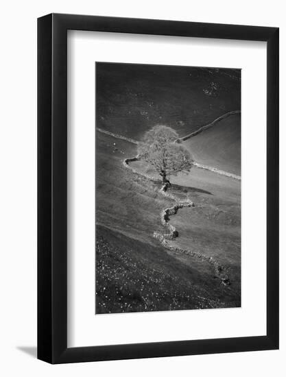 Rock Wall-Doug Chinnery-Framed Photographic Print
